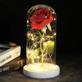 LED-Belysning: Eternal Rose